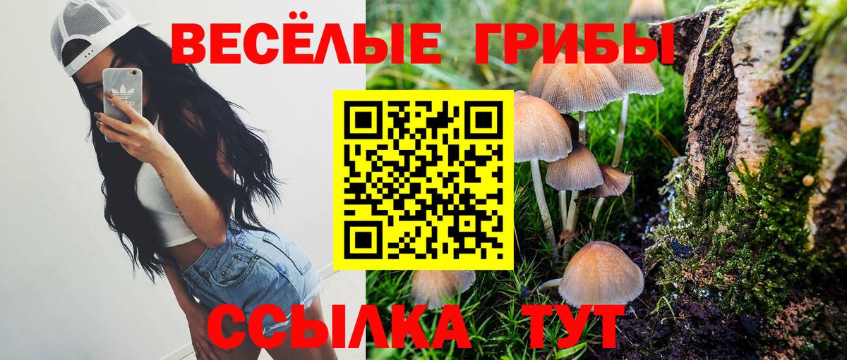 Ликино-Дулёво  Псилоцибиновые грибы MAGIC MUSHROOMS  Вход с VPN 